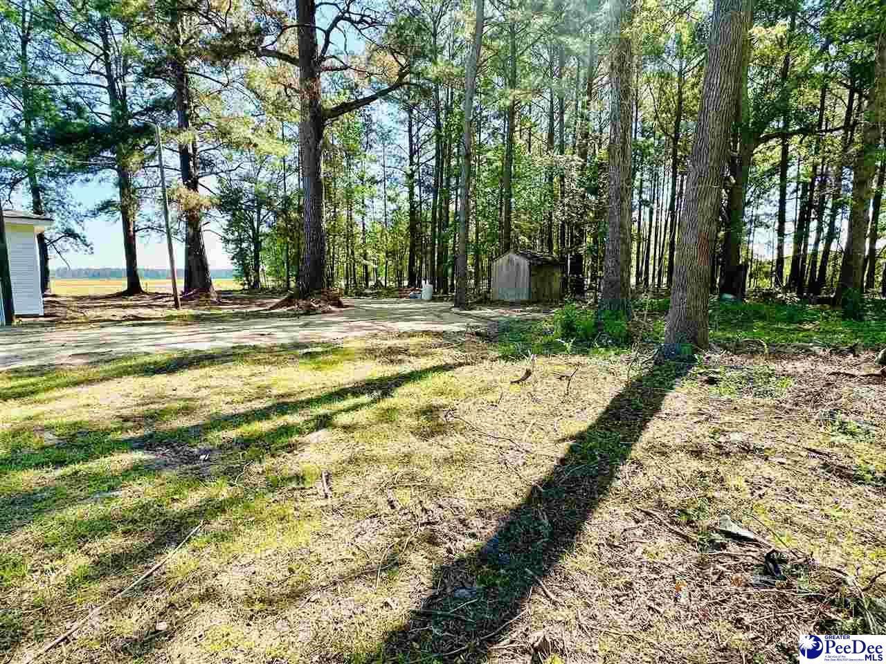 3681 Sumter Hwy Photo 27