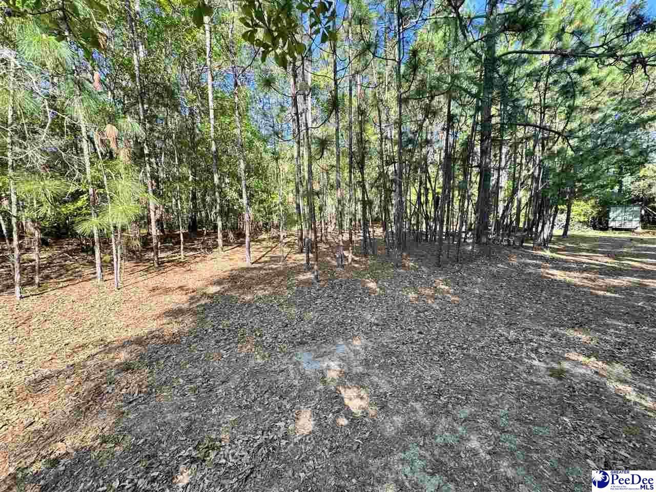 2204 W Old Camden Rd Photo 11