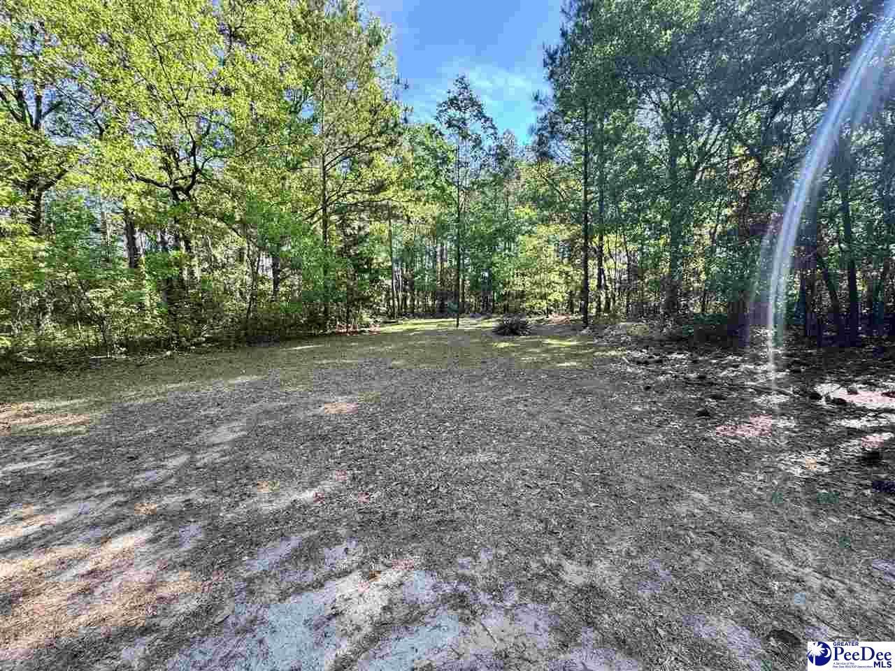 2204 W Old Camden Rd Photo 15