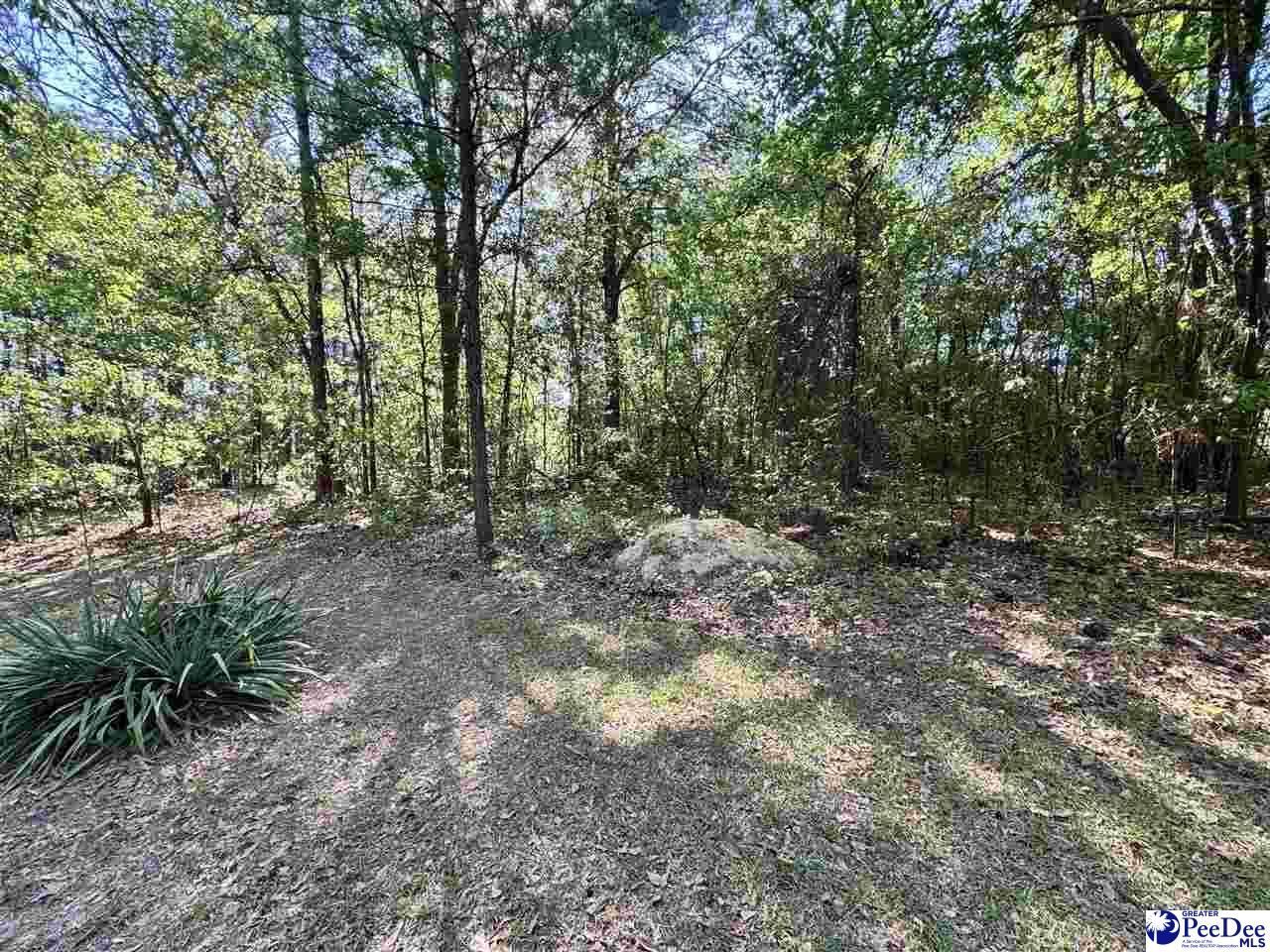 2204 W Old Camden Rd Photo 16