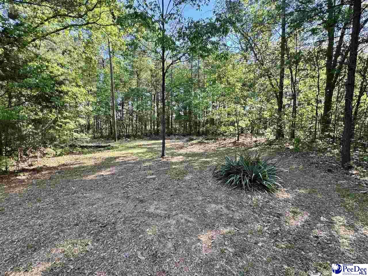 2204 W Old Camden Rd Photo 17