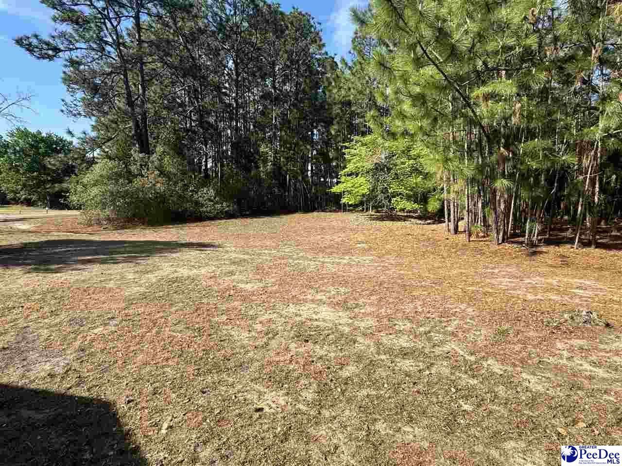 2204 W Old Camden Rd Photo 8