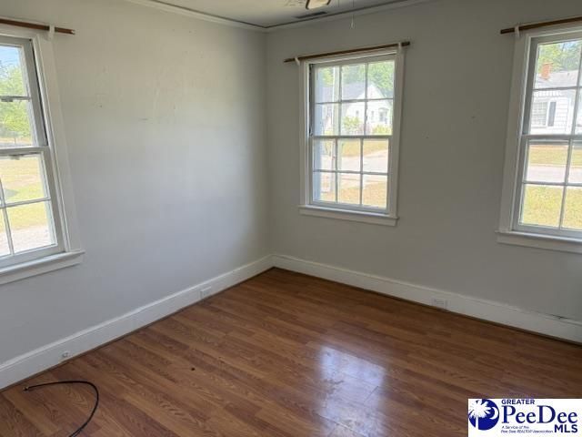 425 Winston Street Photo 12