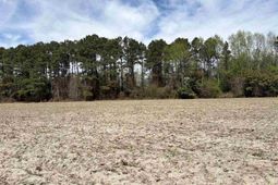 Mta 11 Heustess Rd photo 4