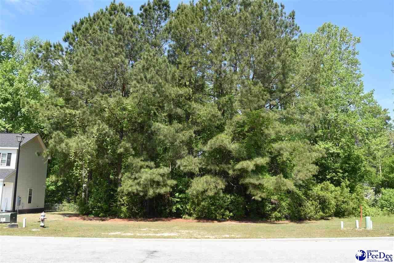 3300 Spiral Lane Photo 4