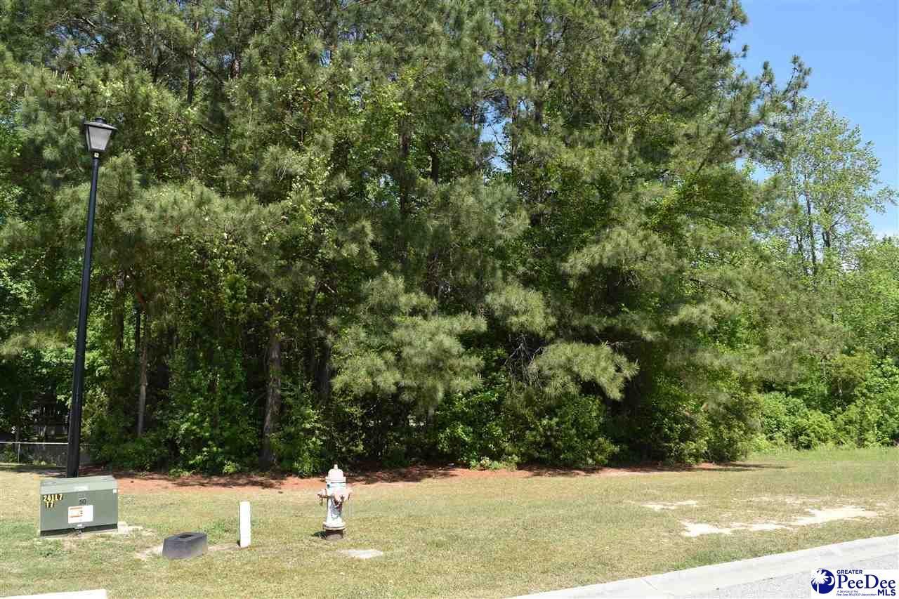 3300 Spiral Lane Photo 5