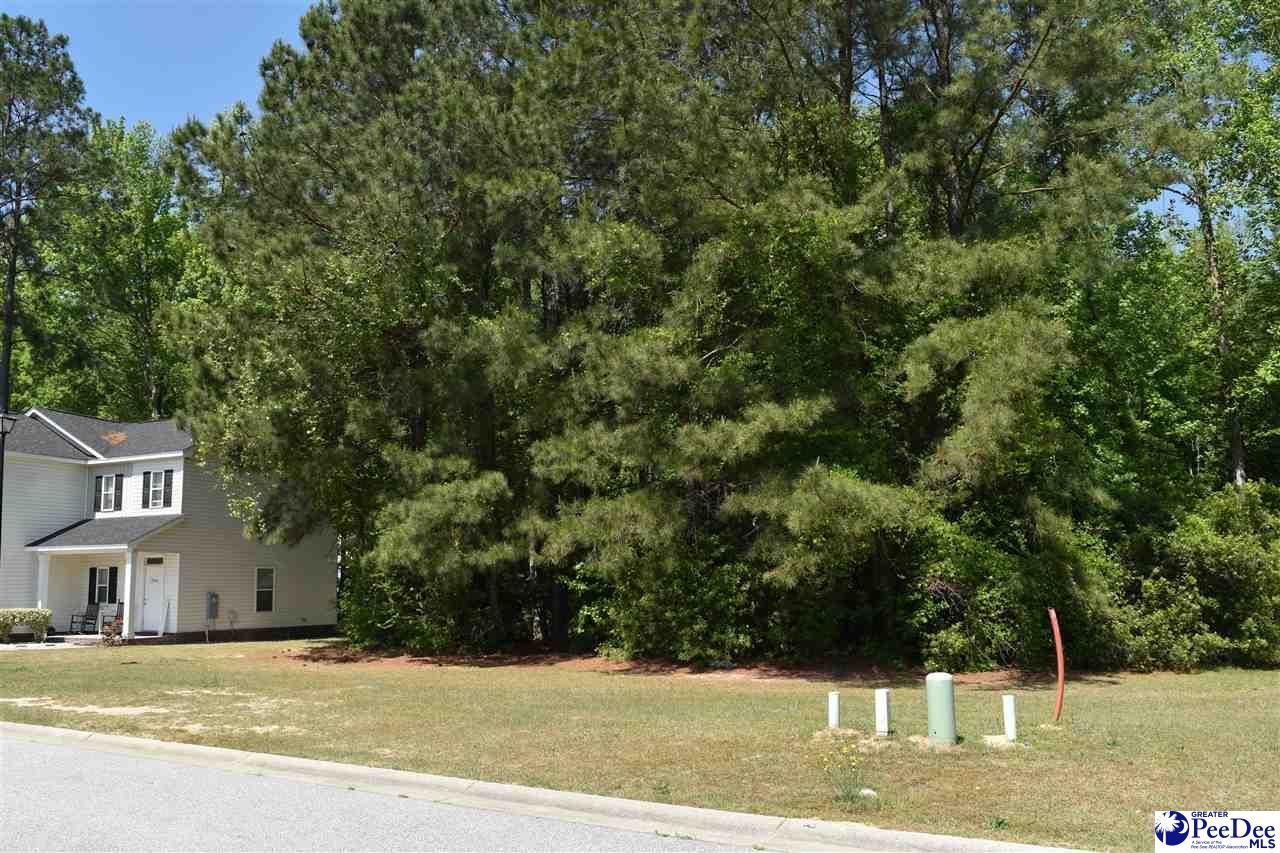 3300 Spiral Lane Photo 6