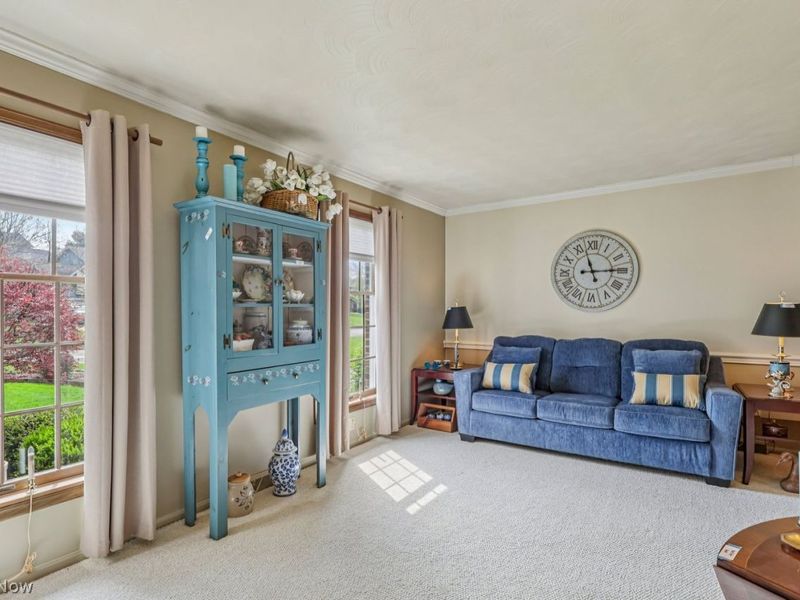 6598 N Timberidge Drive, Austintown, OH 44515 Photo 19