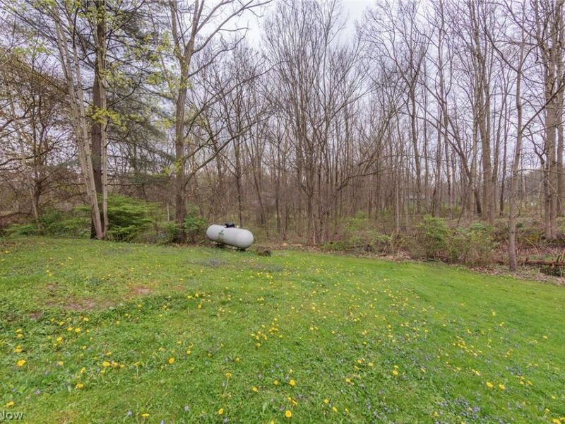 6371 River Styx Road , Medina, OH 44256 Photo 4