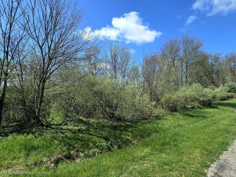 7755 N View Lane, Lisbon, OH 44432 Photo 3