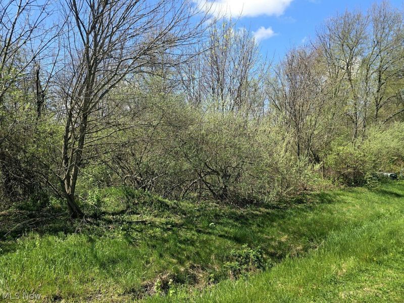 7755 N View Lane, Lisbon, OH 44432 Photo 4