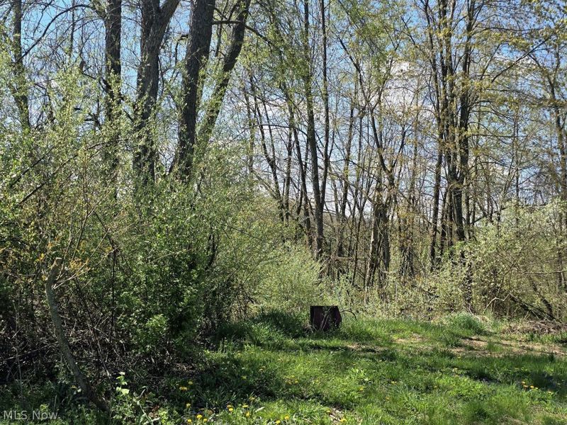 7755 N View Lane, Lisbon, OH 44432 Photo 5