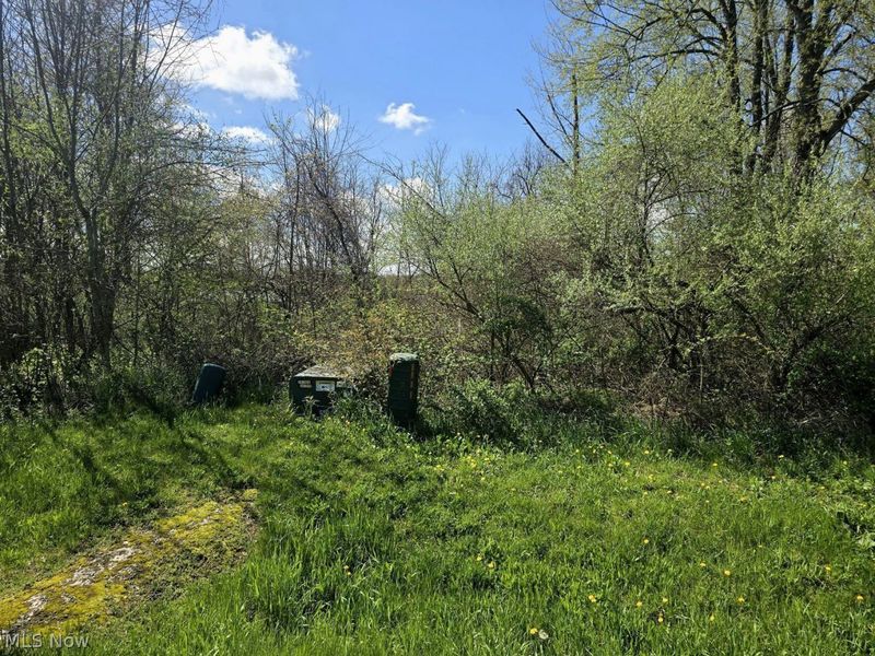 7755 N View Lane, Lisbon, OH 44432 Photo 6