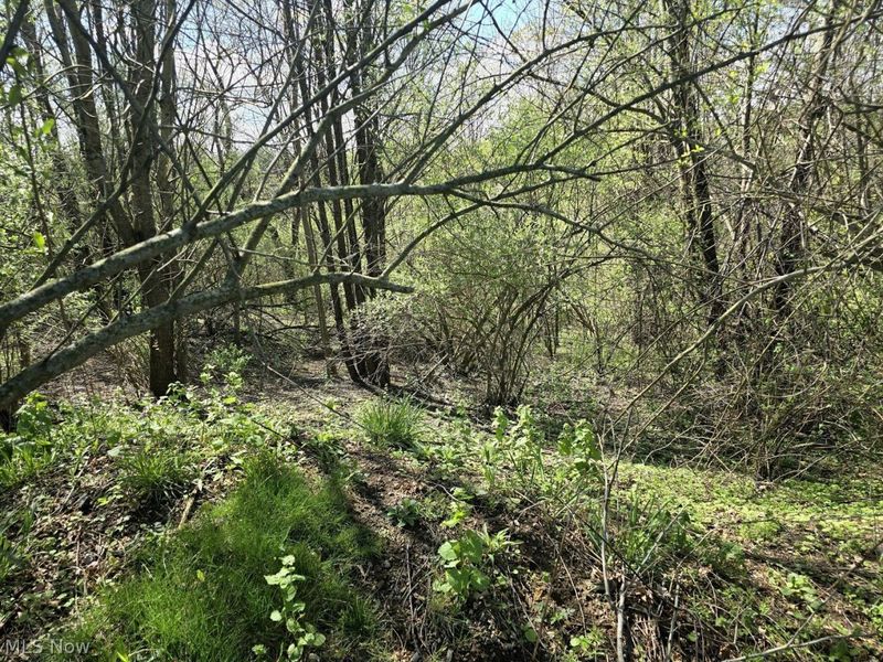 7755 N View Lane, Lisbon, OH 44432 Photo 7