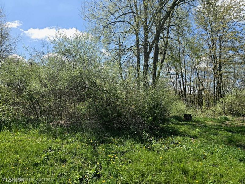 7755 N View Lane, Lisbon, OH 44432 Photo 8