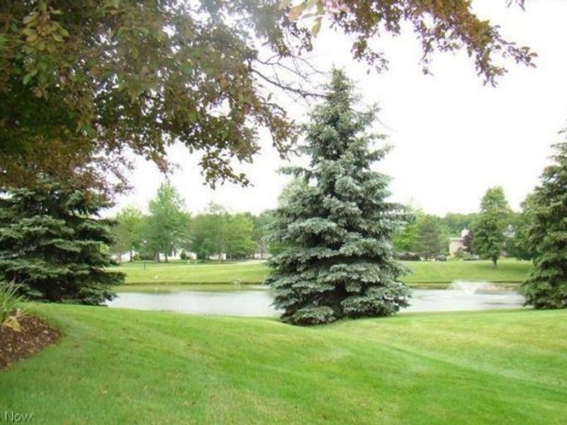 7177 N Churchill Place, Concord Township, OH 44077 Photo 34