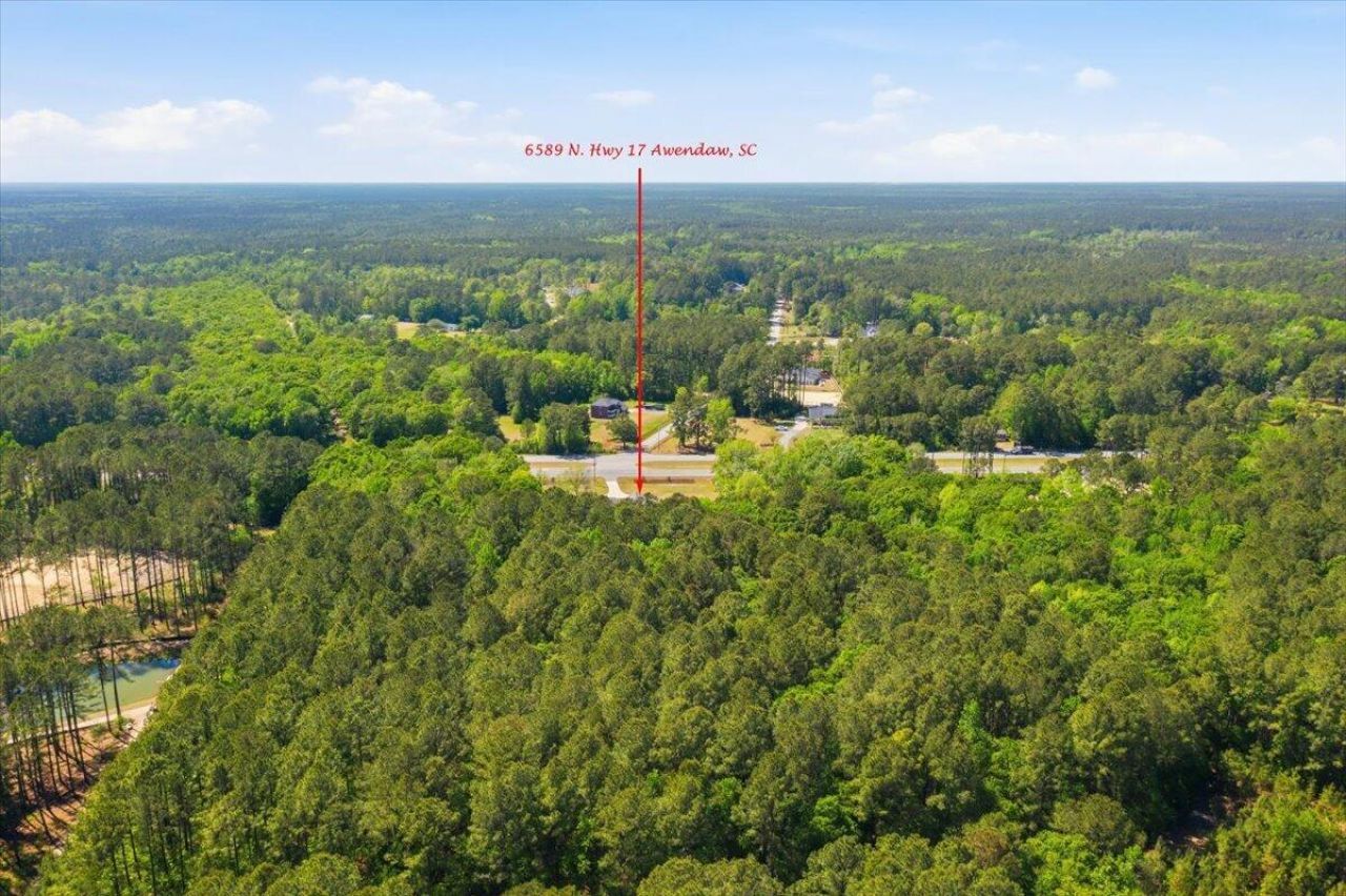 6589 N Highway 17 Photo 58