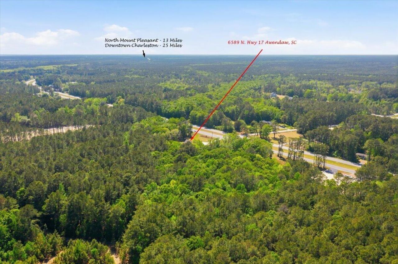 6589 N Highway 17 Photo 62