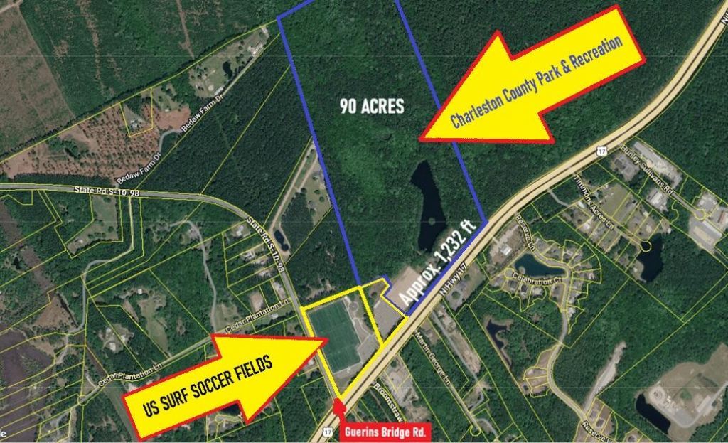 6589 N Highway 17 Photo 64