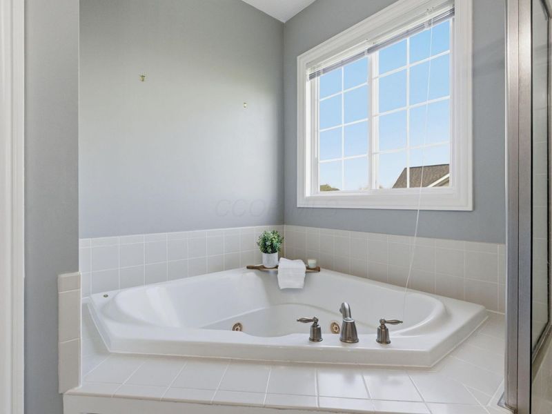 7405 Britts Bend W, New Albany, OH 43054 Photo 72