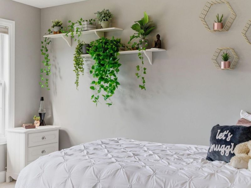 7405 Britts Bend W, New Albany, OH 43054 Photo 92