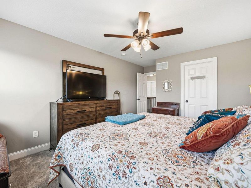 306 Passina Road, Delaware, OH 43015 Photo 54