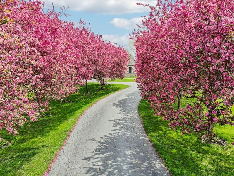 8147 Patterson Road , Hilliard, OH 43026 Photo 4