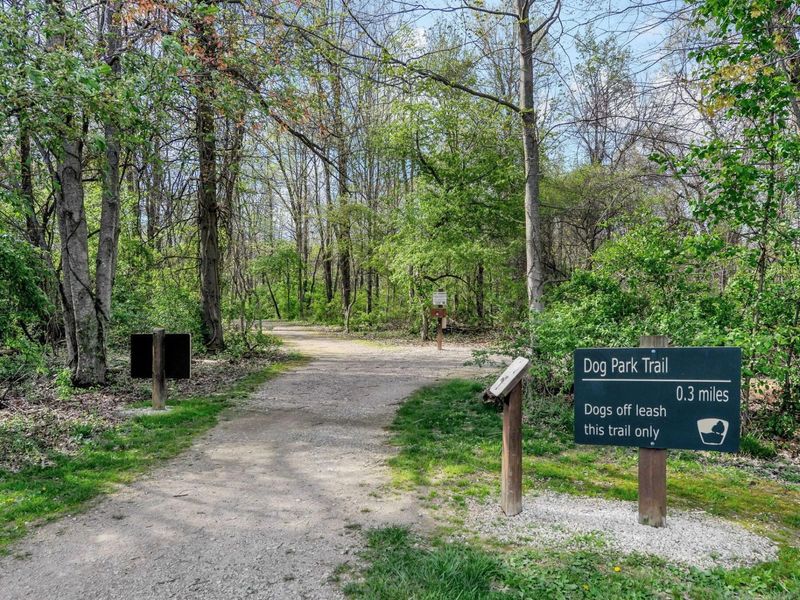 7227 Upper Albany Drive , New Albany, OH 43054 Photo 38