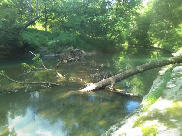 2359 Mack Floyd Rd , Sparta, TN 38583