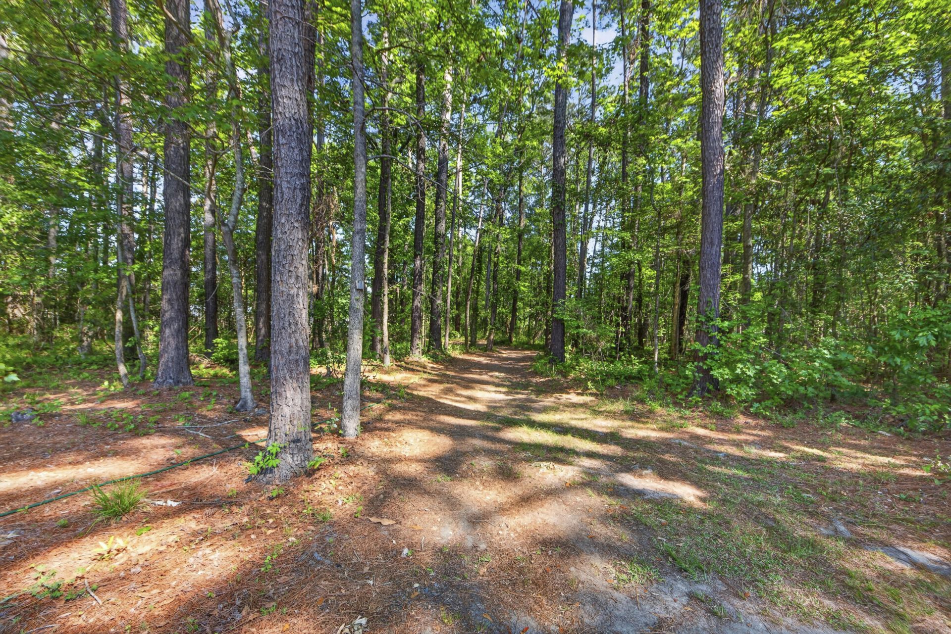 1344 Central Avenue Photo 33