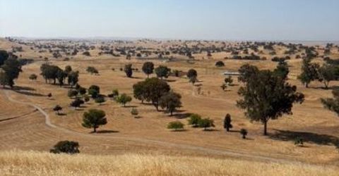 9769 Caracol Cir, La Grange, CA 95329 Photo