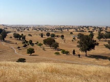 9769 Caracol Cir, La Grange, CA 95329 Photo