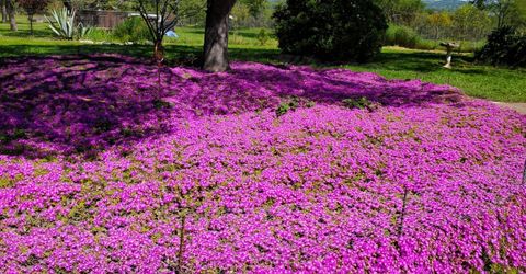 15828 Barney, Plymouth, CA 95669 Photo