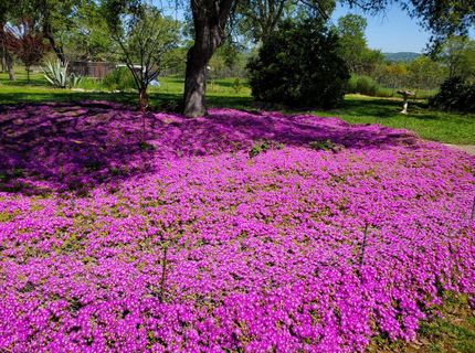 15828 Barney, Plymouth, CA 95669 Photo