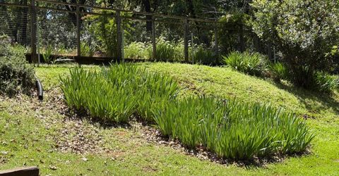 14041 Druid Ln, Pine Grove, CA 95665 Photo