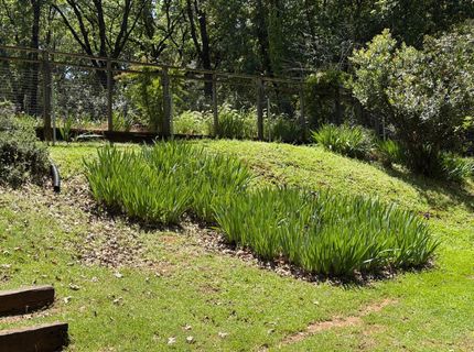 14041 Druid Ln, Pine Grove, CA 95665 Photo