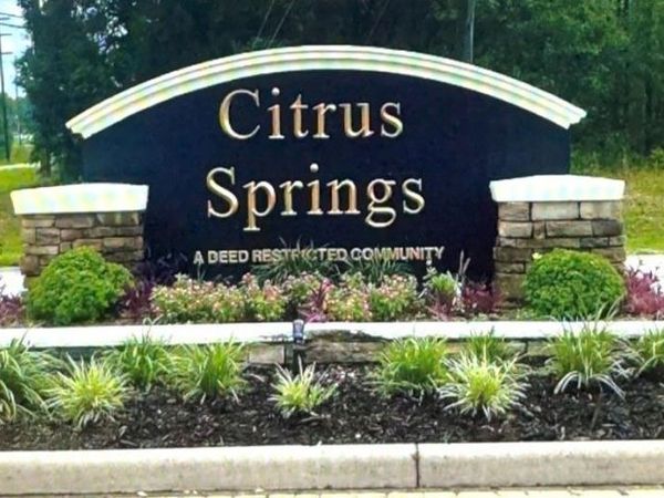 41 W VINCE PL , Citrus Springs, FL 34434