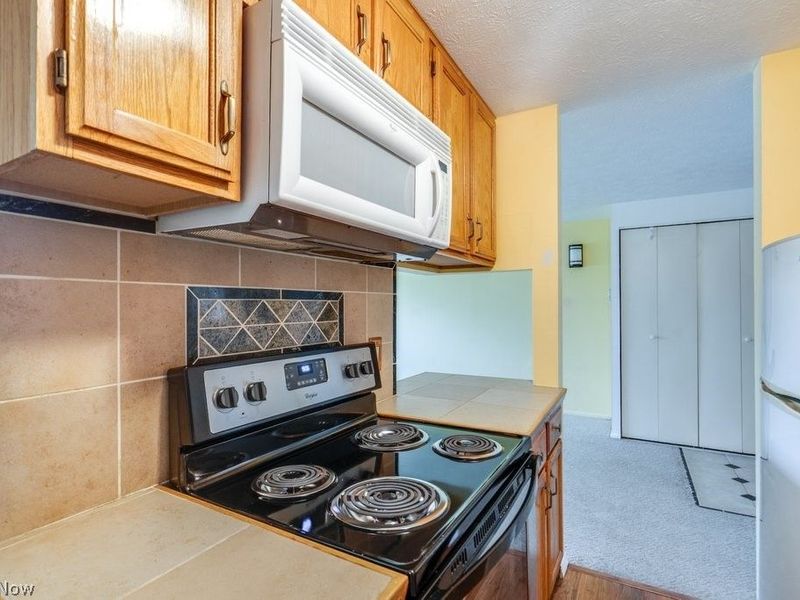 115 S Rocky River Drive, Unit 303, Berea, OH 44017 Photo 13