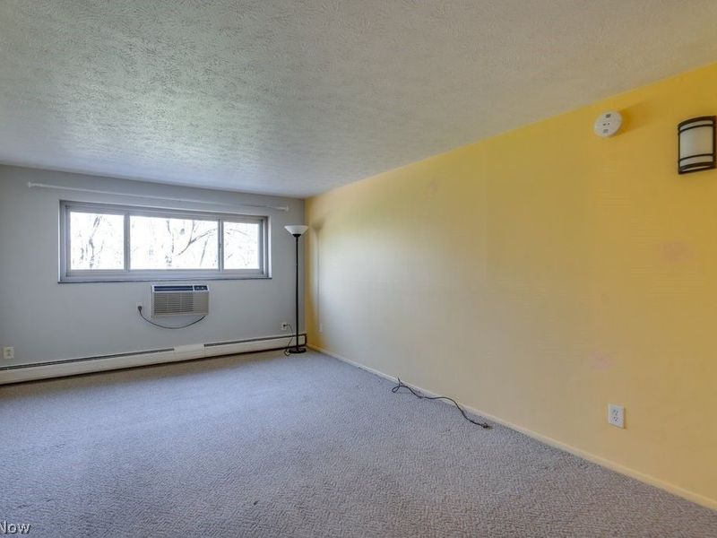 115 S Rocky River Drive, Unit 303, Berea, OH 44017 Photo 4