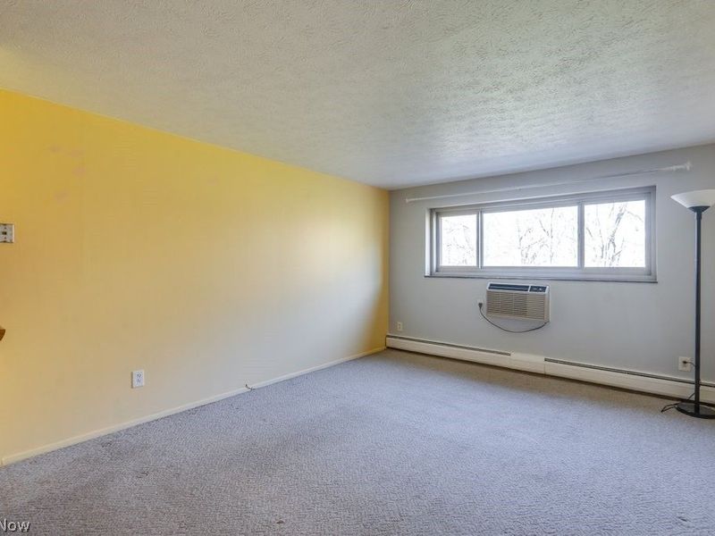 115 S Rocky River Drive, Unit 303, Berea, OH 44017 Photo 6