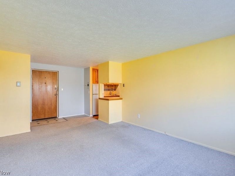 115 S Rocky River Drive, Unit 303, Berea, OH 44017 Photo 7