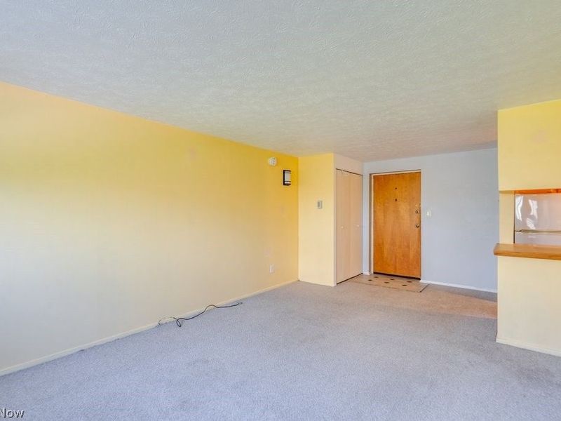 115 S Rocky River Drive, Unit 303, Berea, OH 44017 Photo 8