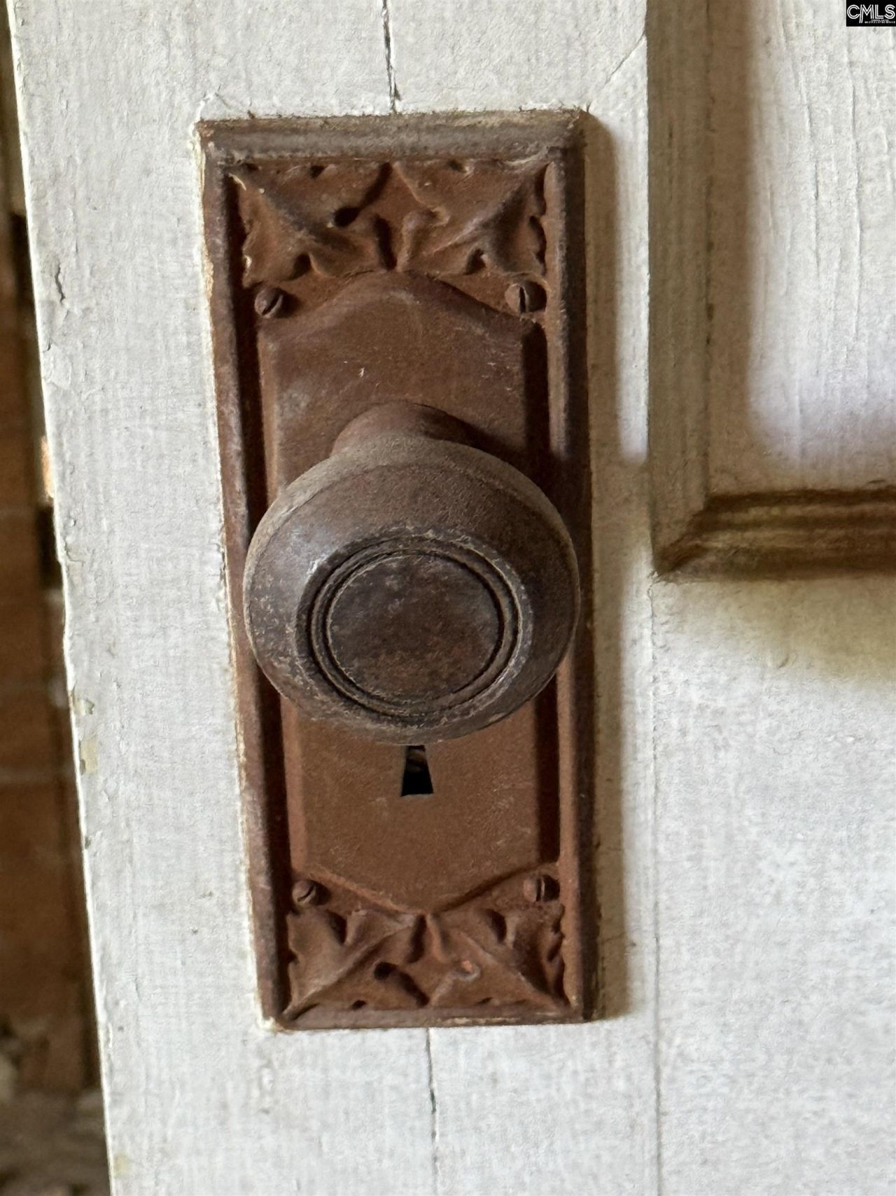 202 Edisto Avenue  Photo 29