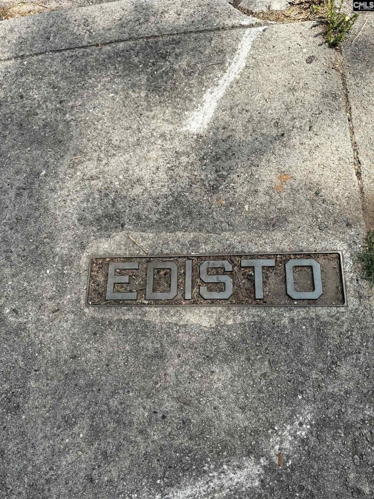 202 Edisto Avenue  Photo 35