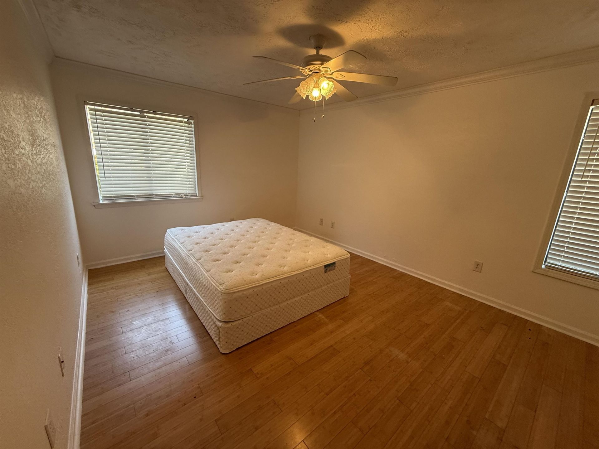 407 76th Ave. N  Photo 12