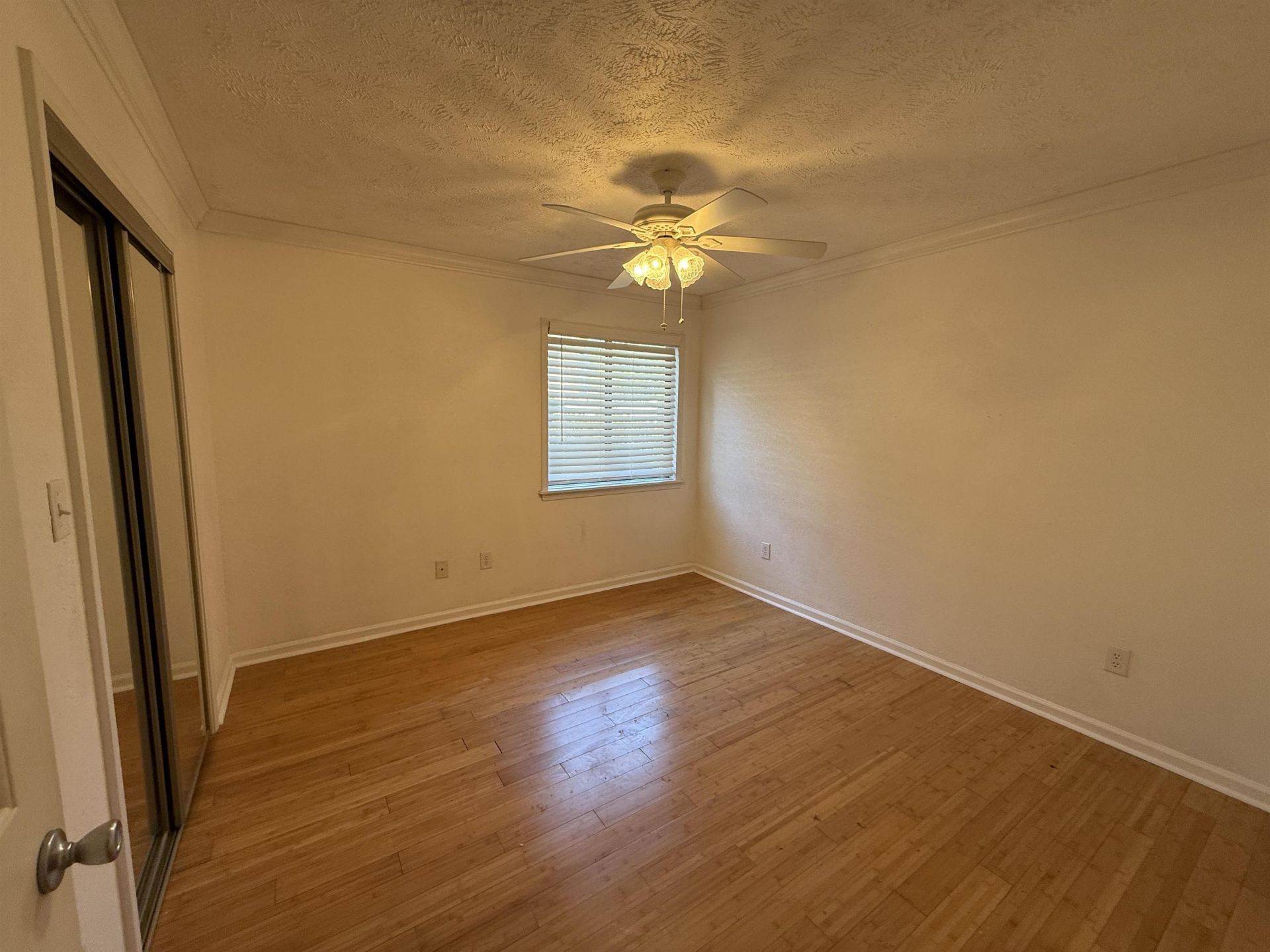 407 76th Ave. N  Photo 9