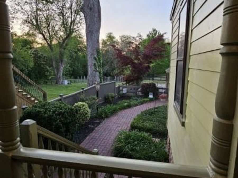 Property Image 41