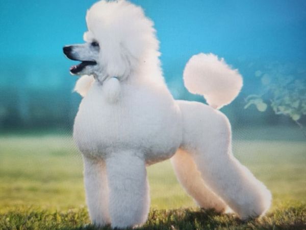 0 Confidential Way, Lynnfield, MA 00000