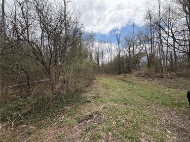 Peck Hill Road , Manlius, NY 13104