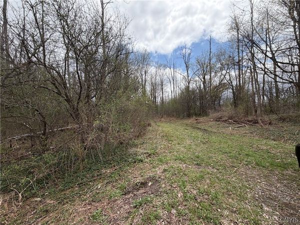 Peck Hill Road, Manlius, NY 13104